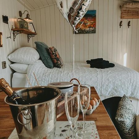 Black Hut At Slieve Croob Glamping Ballyward Extérieur photo